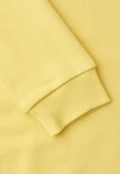 Hoodie in Unifarbe