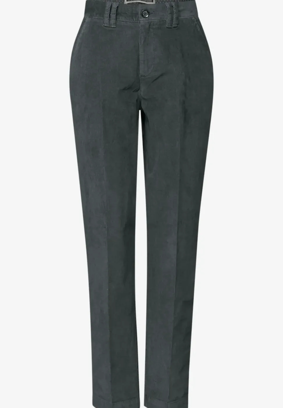 Softe Velvet Chino