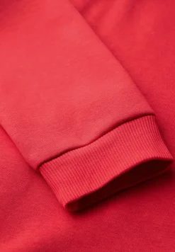 Sweatshirt mit Kapuze