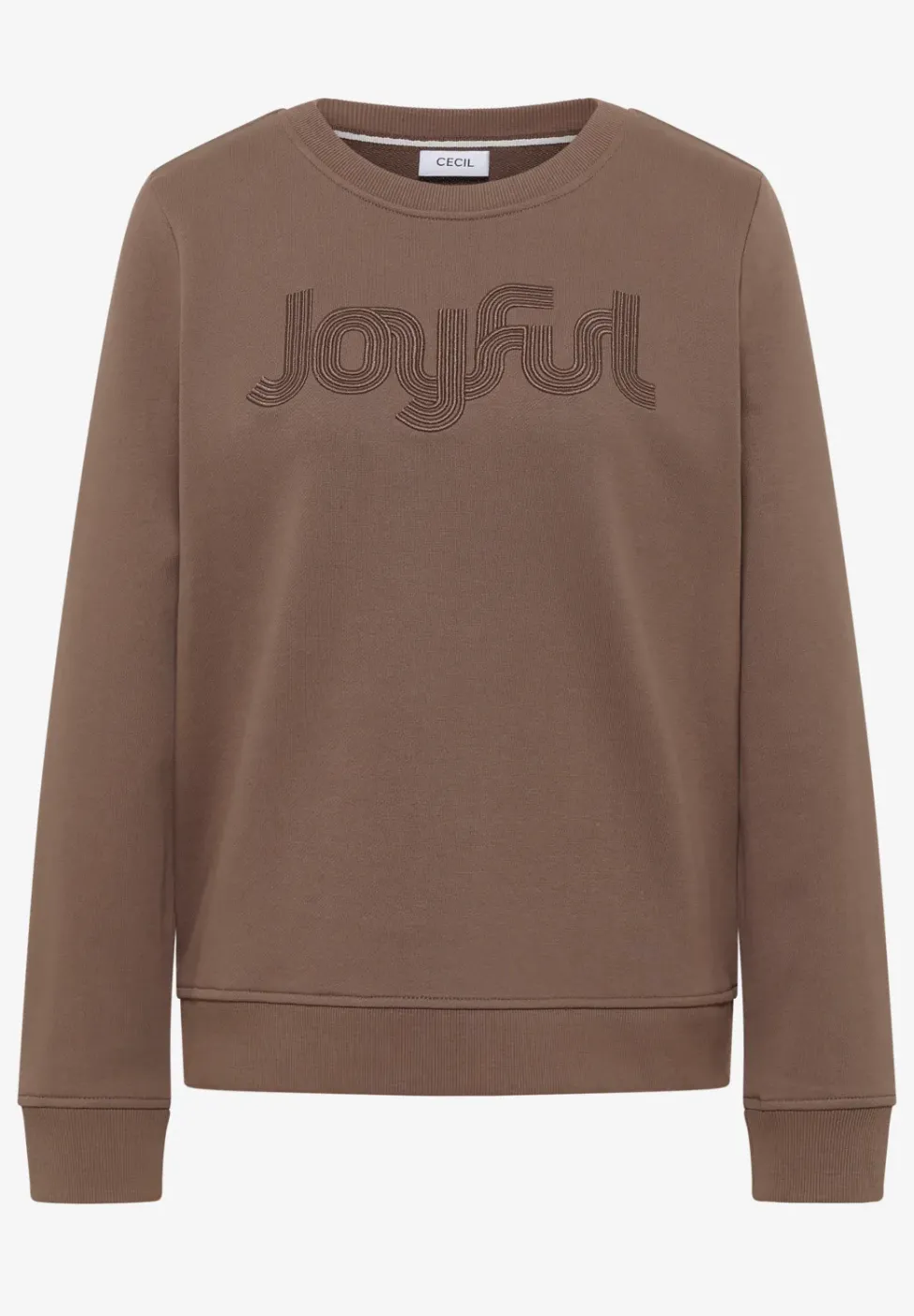Sweatshirt mit Stickerei