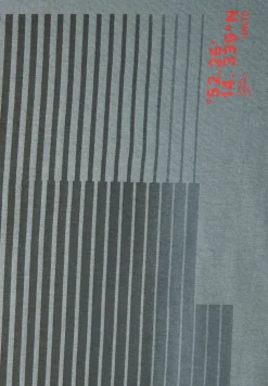 T-Shirt mit Streifen-Print