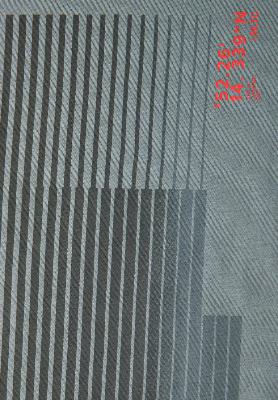 T-Shirt mit Streifen-Print